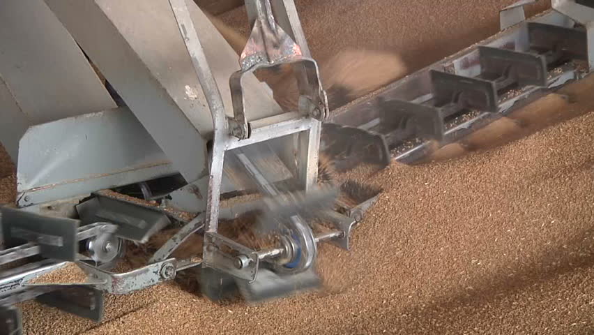 processing grain in granary