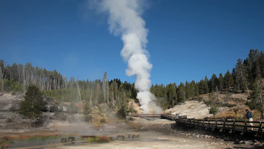 YELLOWSTONE NATIONAL PARK, WYOMING: One of the worlds most visited nature and geological parks. Mud Dragon Hot Springs area boardwalk. Hot steam geothermal feature. Forest that burned and new growth
