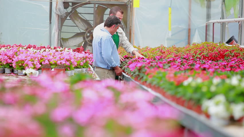 Customer and employee walking through the greenhouse choosing plants
