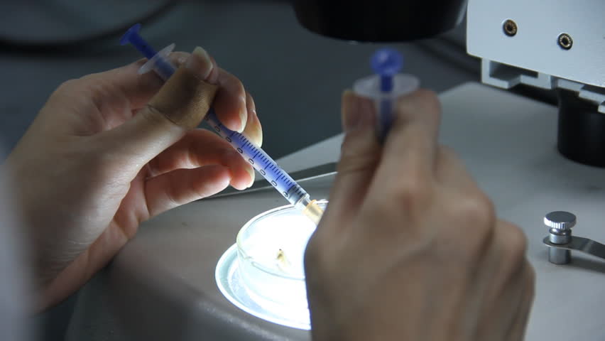 A girl is preparing of animal specimens.The bone specimen is hard to prepare.