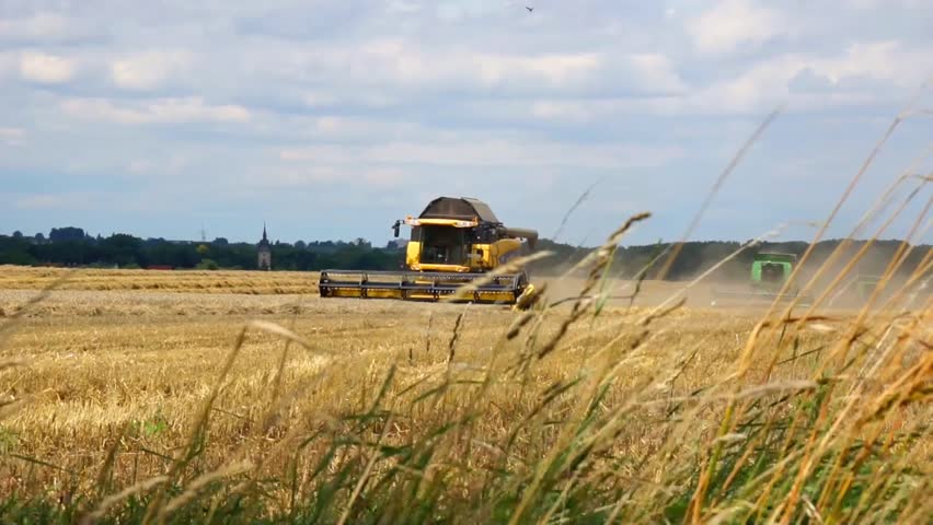 Combine harvester in a field / Combine harvester