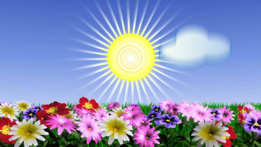 animated ecology conceptual background with watering can and growing flowers and grass