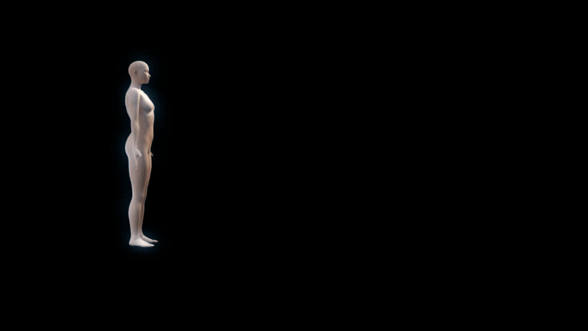 An individual human spinning and morphing into a man and woman of various sizes 