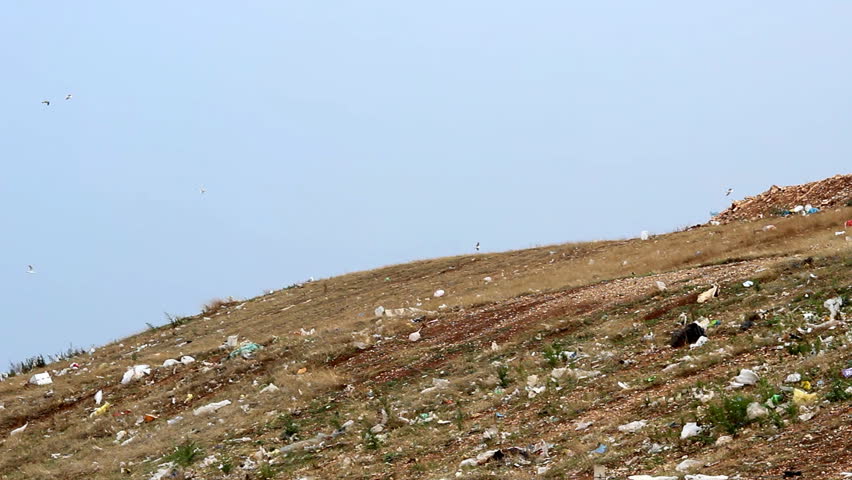 Polluted soil

Description: View on the landfill
