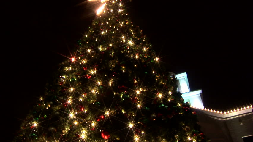 The camera tilts down from the top of a large Christmas tree in a town square. 	