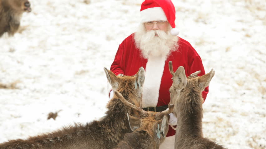 Zoom out of Santa Claus caressing his pets and treating them with bread