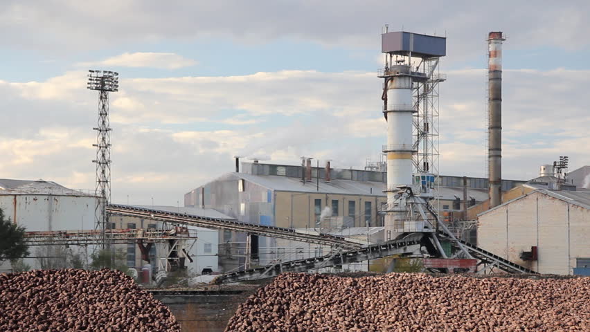 Sugar refinery - Industrial buildings exterior, production of sugar from sugar beets. Crane conveyor unloading sugar beet