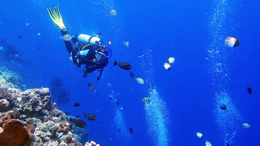 Diver makes OK sign in the blue with school of tropical fish on the coral reef