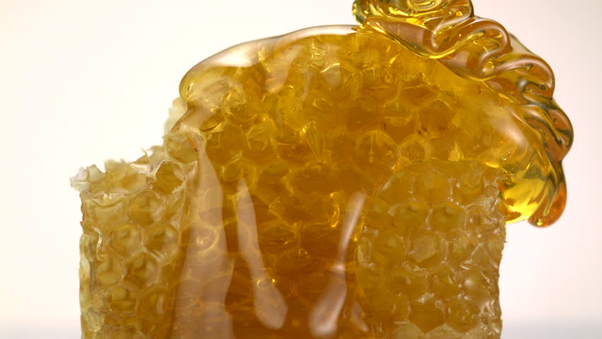 Honey pouring on honey comb shooting with high speed camera.