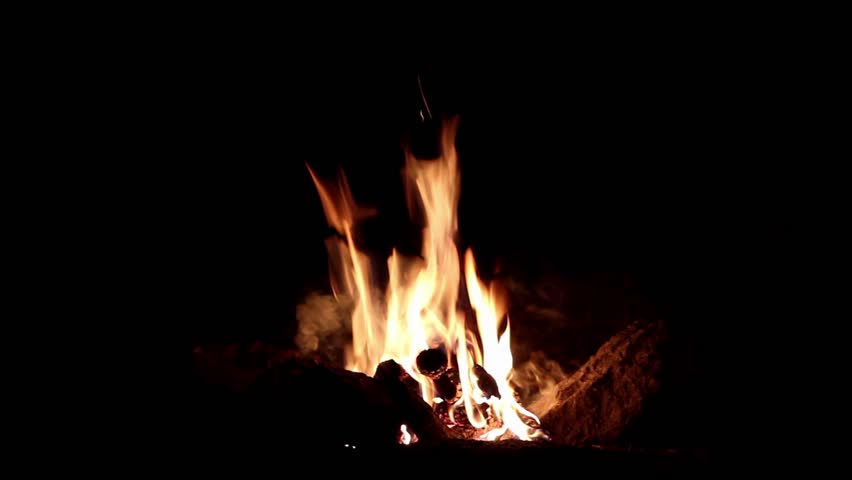 Bonfire burning  trees at night,Bonfire burning brightly , heat, light,camping,big bonfire