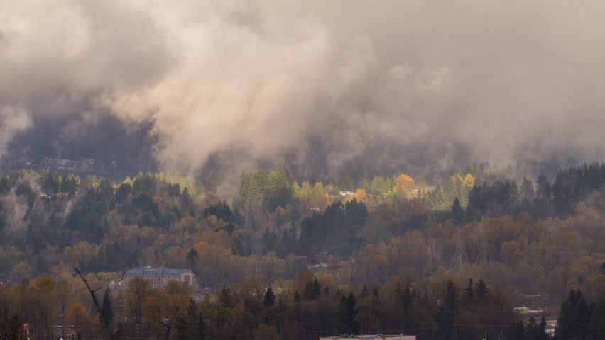 Time Lapse of a Foggy Morning. Photo Sequence shot in RAW and Post-Production in after Effects.