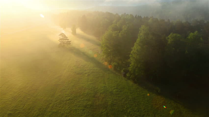 sunny day 