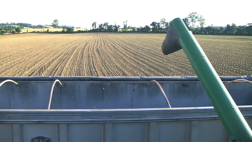 Wheat emptying out of combine into a transport truck. 