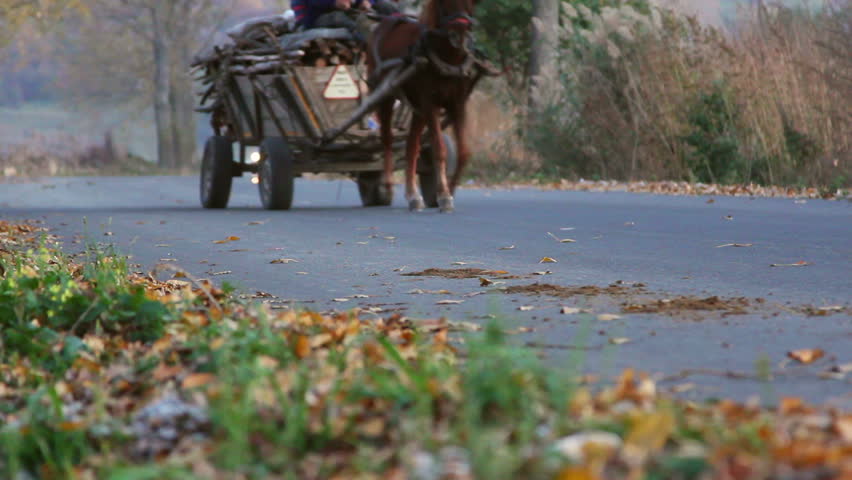 Horse cart carrying lumber on a country road ... 