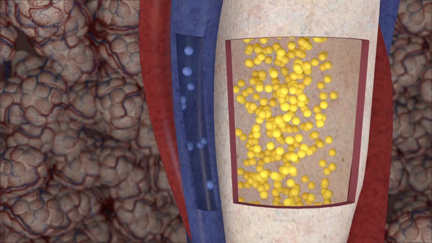 The action of breathing at the alveolar wall displaying the diffusion of oxygen from the alveolus into the pulmonary capillaries to effectively allow perfusion
