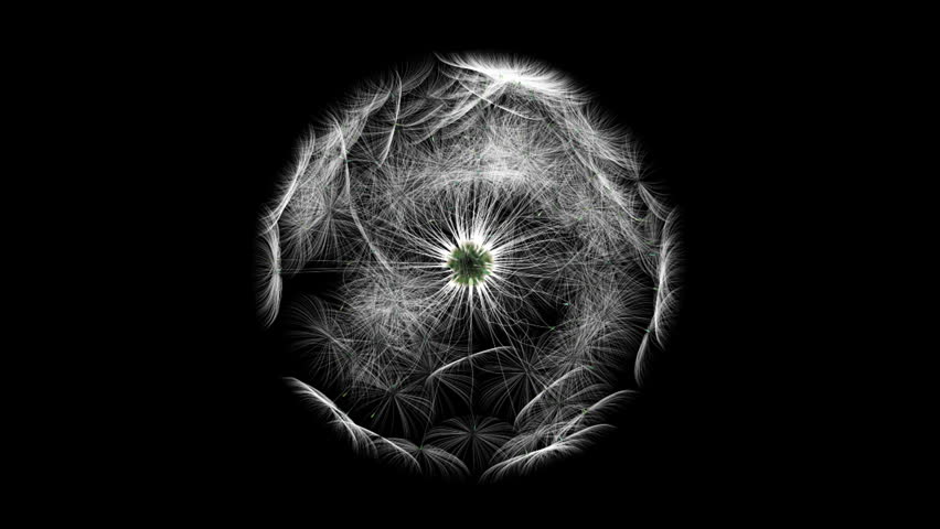 Dandelion playground ,looping