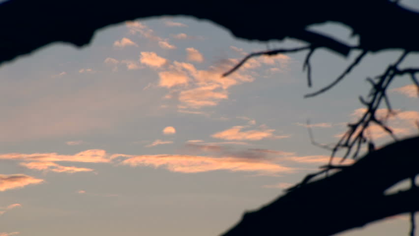 Nice and warm spring sky at dusk
