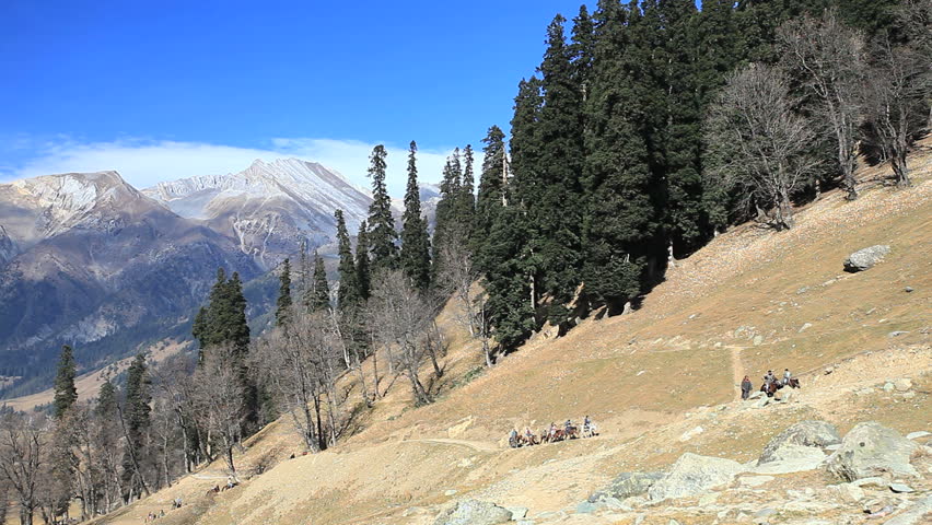 riding horse at sonamarg in kashmir, india
