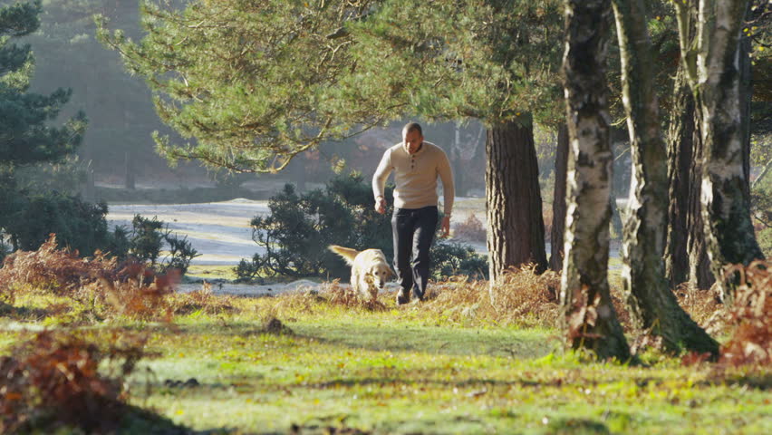 A handsome man is running with his dog through a lush green forest in the sunshine in slow motion