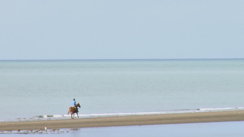 Woman riding a horse at a trot along a sandbar at the beach.