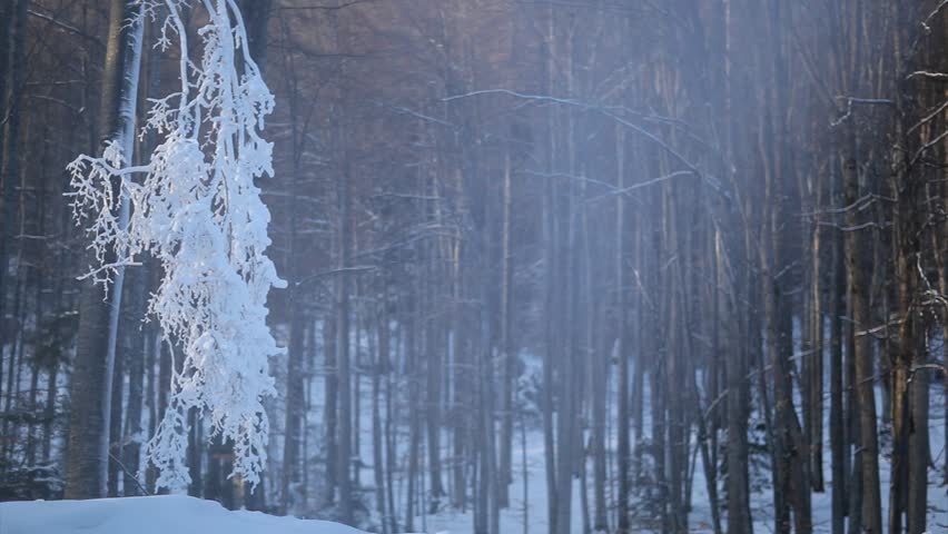 Snow mist from the cannon - slow motion