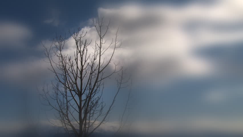 A stark leafless tree silhouetted against time lapse clouds with a portal blur added to create a mood.