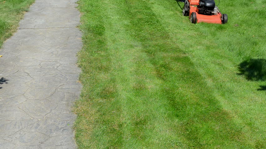 Man in shorts and flip-flop shoes push mower cut lawn grass near stone path.