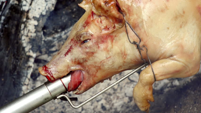 SUPER 35MM CAMERA - Pig on a spit turning slowly