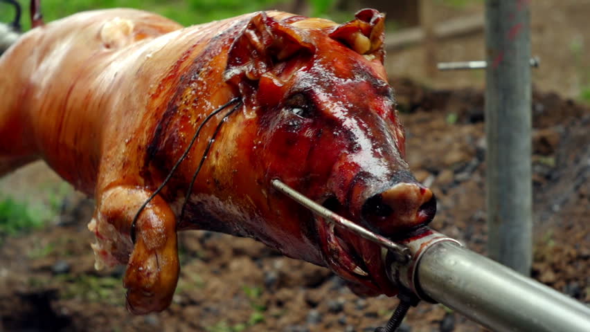 SUPER 35MM CAMERA - Pig on a spit turning slowly