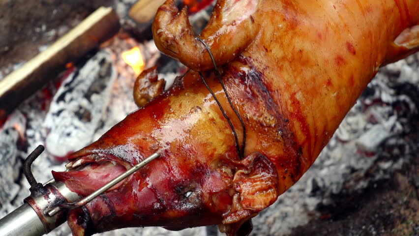 SUPER 35MM CAMERA - Pig on a spit turning slowly