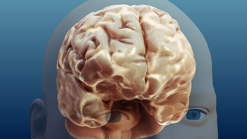 anterior to posterior anti-clockwise rotational view of eyes and particularly brain and its electrical activity with transparent skull and blue in background