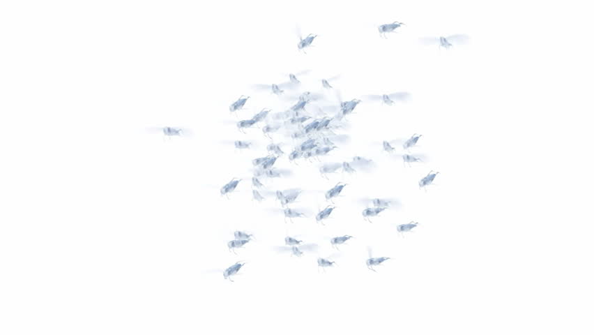 Locust,Disaster.Grasshoppers,insects,shaped,wasps,bees,flies