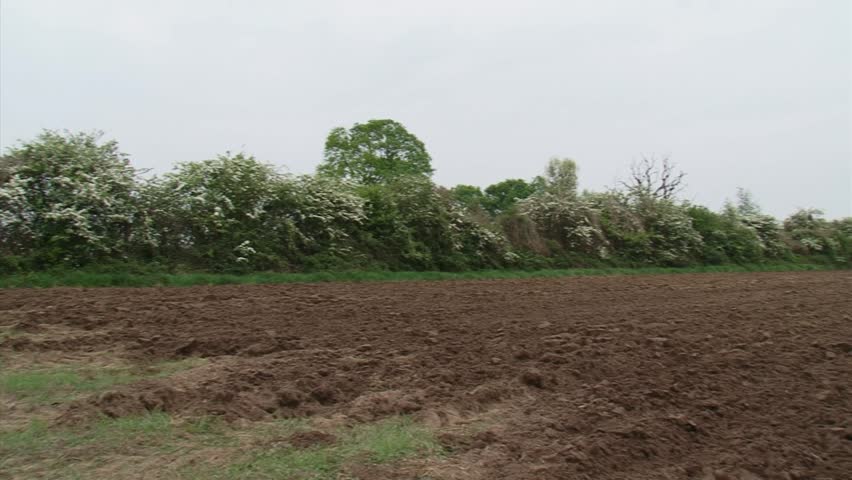 plowed field + pan tractor plowing (on camera)