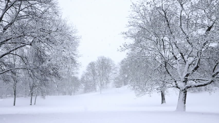 Snow Falling Background Stock Footage Video Shutterstock