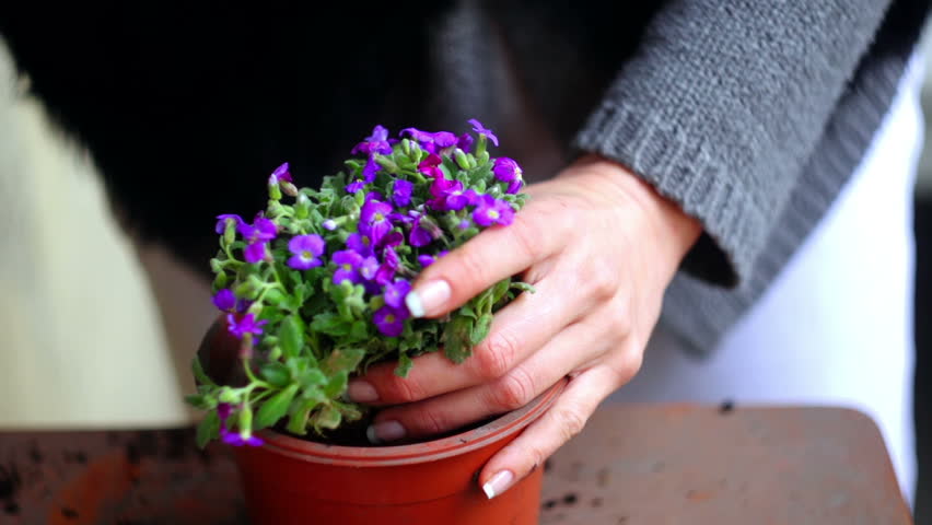 Super 35mm camera - planting flowers 
