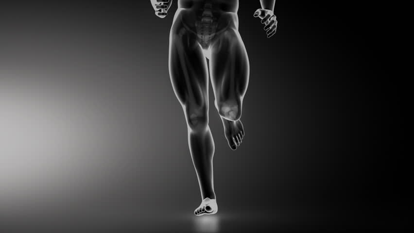 Running man with hip joint detail anterior view