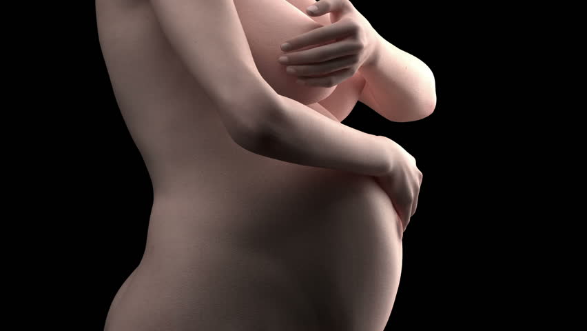 Naked pregnant woman in timelapse in detail animation