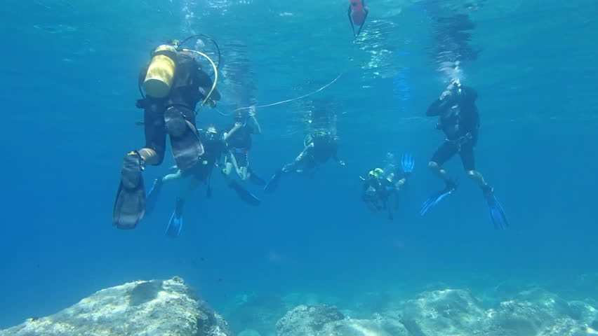 Learning to Scuba Dive
