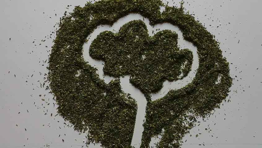 Young adult woman draws tree silhouette in dry dill.
