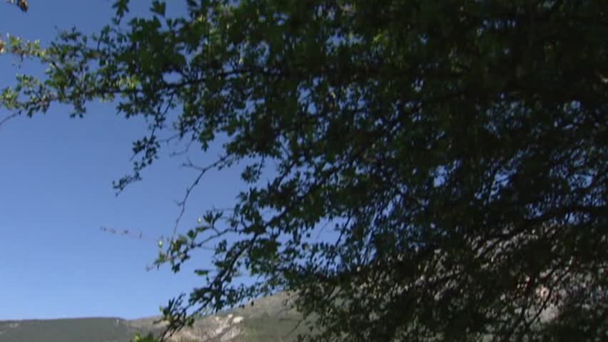 Mountainous landscape of Alpes-de-Haute-Provence + tree - tilt down back side watermill