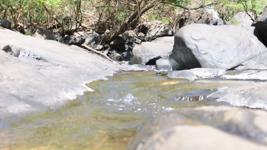 Waters of the spring (creek, river) in the forest run down the stones right into the camera in HD