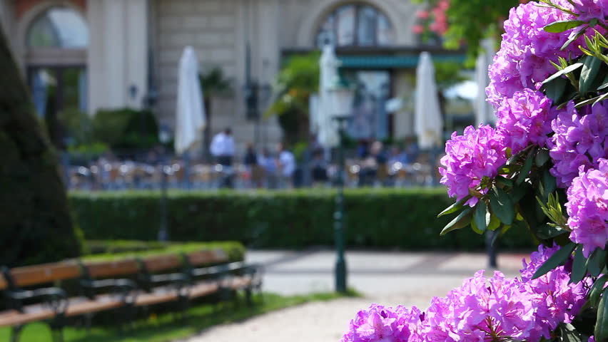 A scene in the park on a sunny day with a couple of people relaxing in the garden of a restaurant while getting served from the waiter.