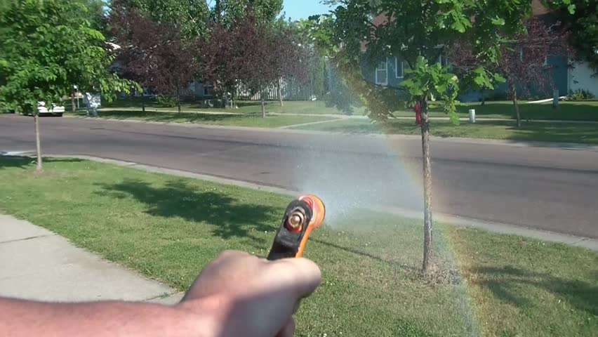Using gun on water hose, an artificial rainbow forms while watering a small tree.