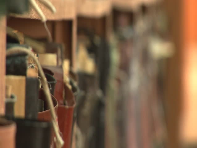 shelves with old files and folders (documents and drafts)