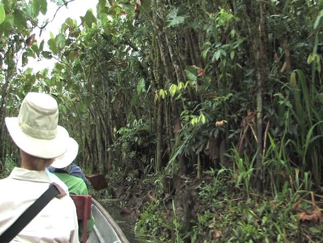 Canoeing the Amazon rivers