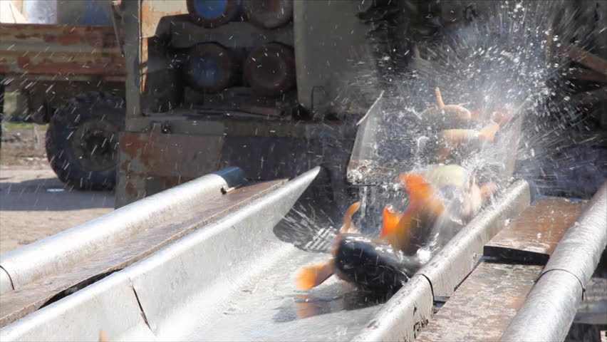 Industry for freshwater fish farming