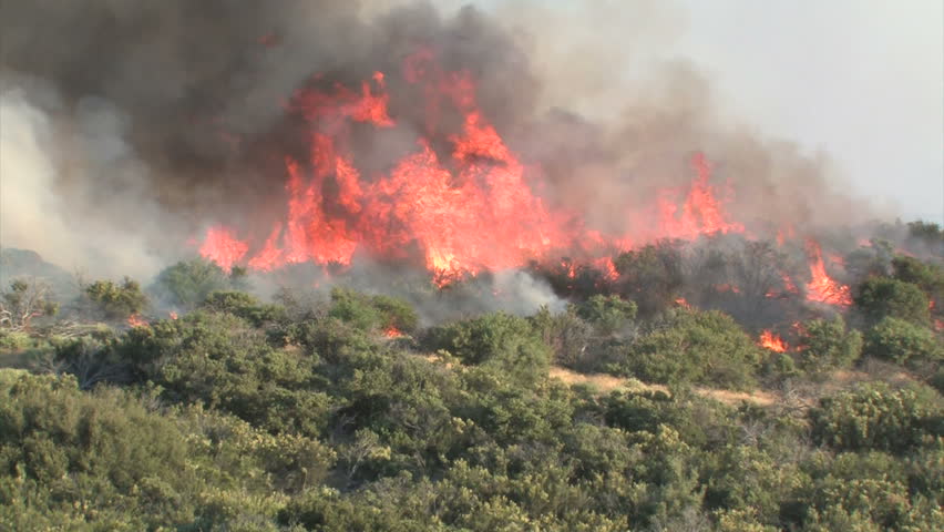 Wildfire Flames, Forest Fully Engulfed by Fire 4