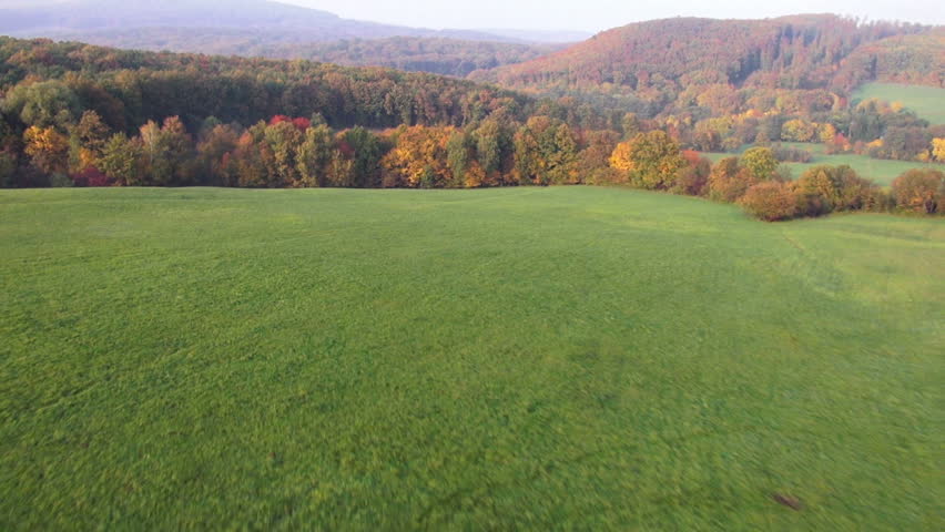 aerial view of beautiful colourd forest and green meadows in autumn
