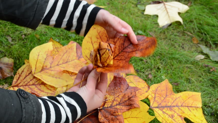 hands make decor flower from beautiful autumn tree leaf.