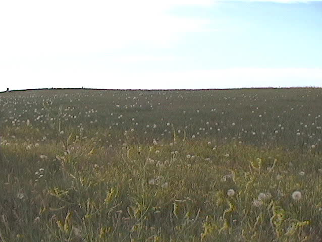Gravestone on the plains near the Little Big Horn - pan up from the stone across the battlefield and then pan back down